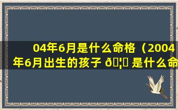 04年6月是什么命格（2004年6月出生的孩子 🦄 是什么命）